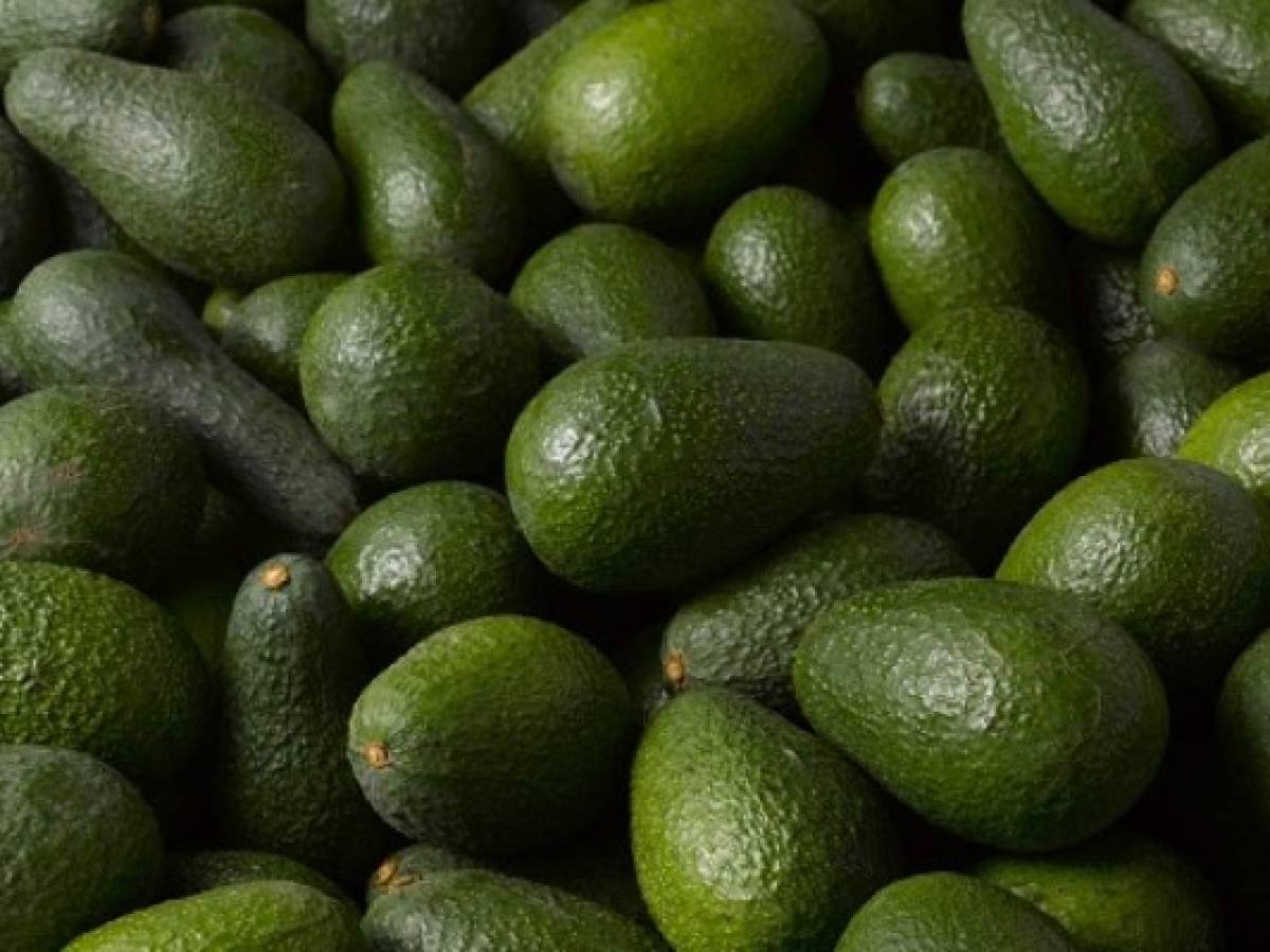 La exportación de aguacates deja a México más que el petróleo