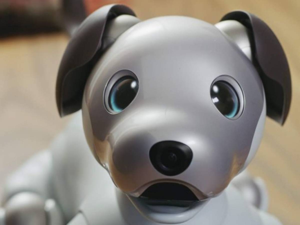 Sony venderá su mascota con inteligencia artificial en EEUU