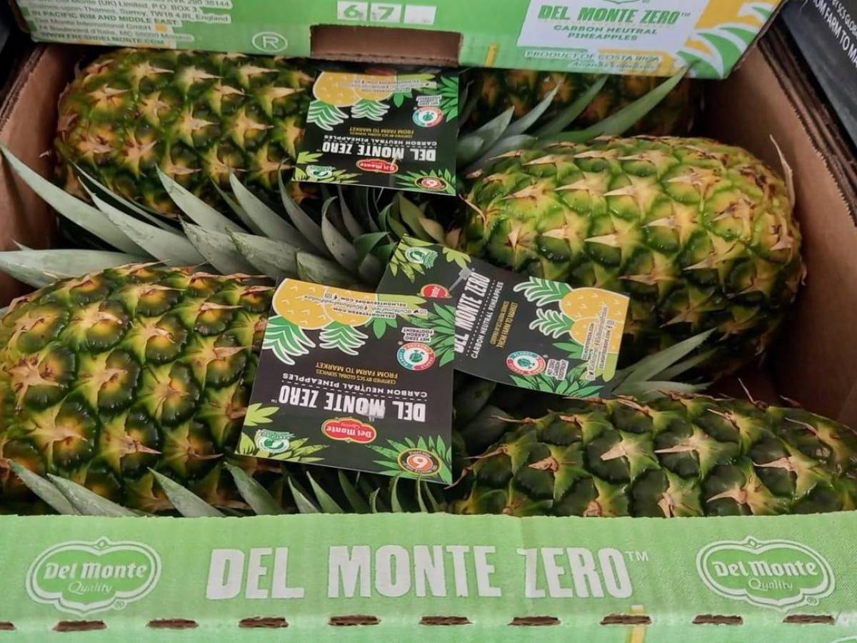 Operación tica de Fresh del Monte destaca en informe de sostenibilidad global de la marca