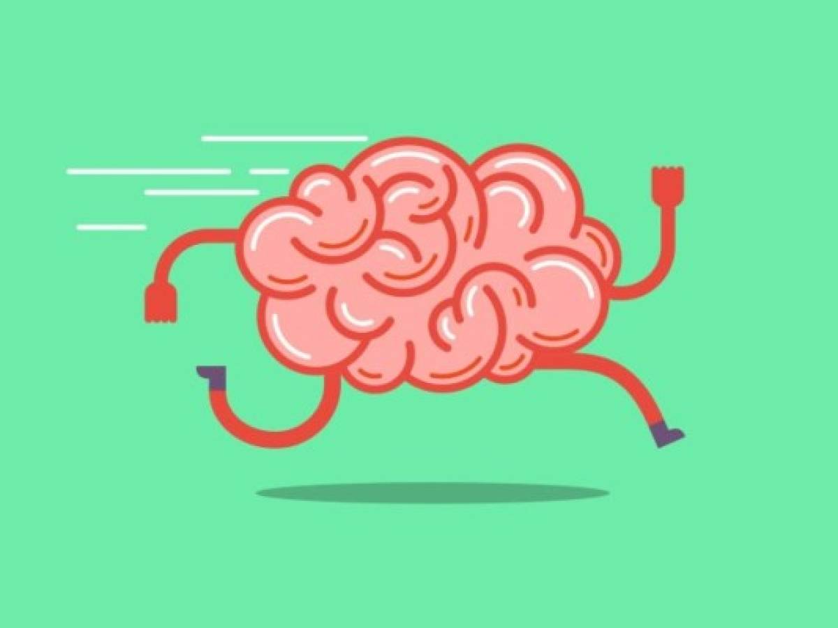 Neurociencia: 10 maneras de engañar a tu cerebro para ser más productivo