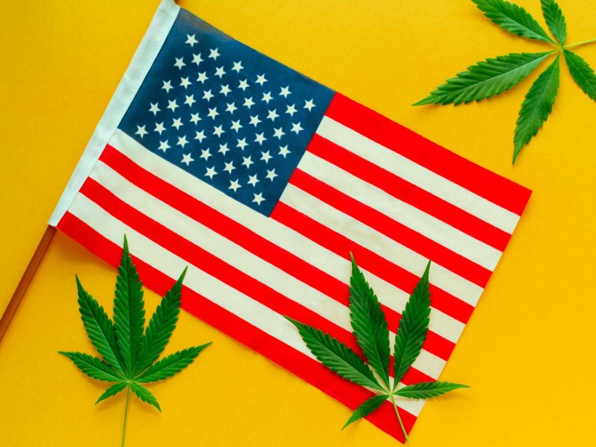 Cinco claves sobre la legalización de la marihuana en EEUU
