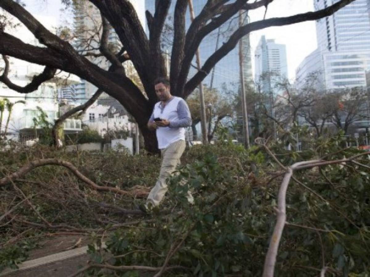 'Irma' se degrada a tormenta tropical mientras cruza Florida