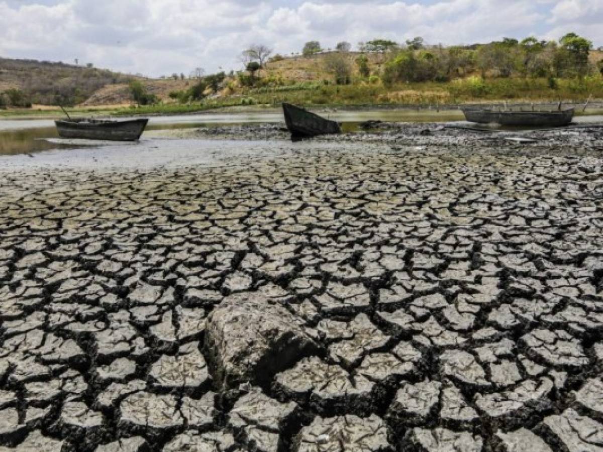 ONU: 1,4 millones de centroamericanos necesitan ayuda alimentaria