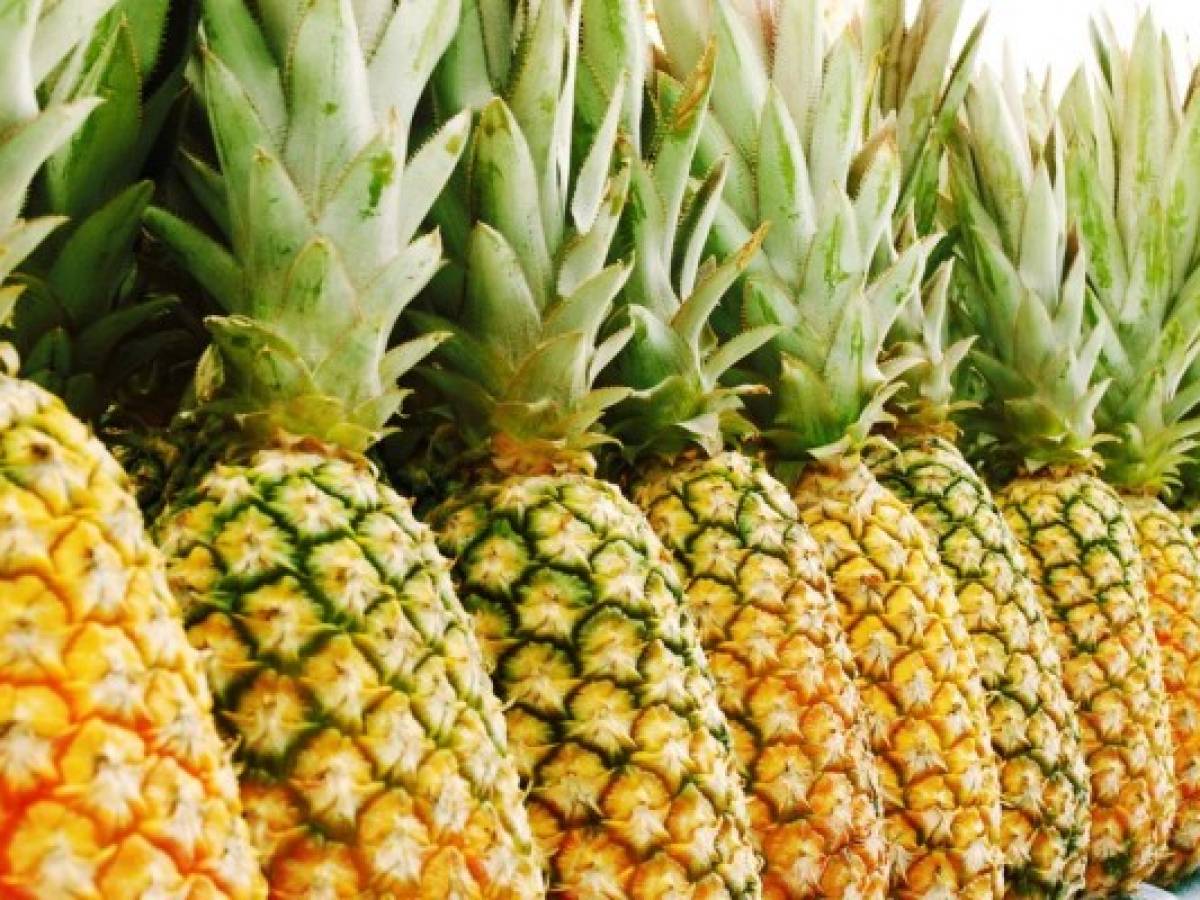 Honduras se consolida como segundo mayor productor de piña en Centroamérica