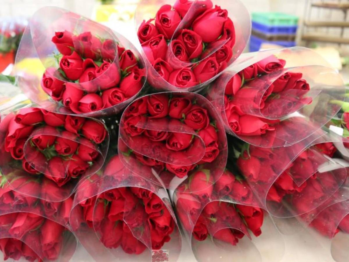 Guatemala exportará más de ocho millones de rosas para celebrar el 14 de febrero de 2023