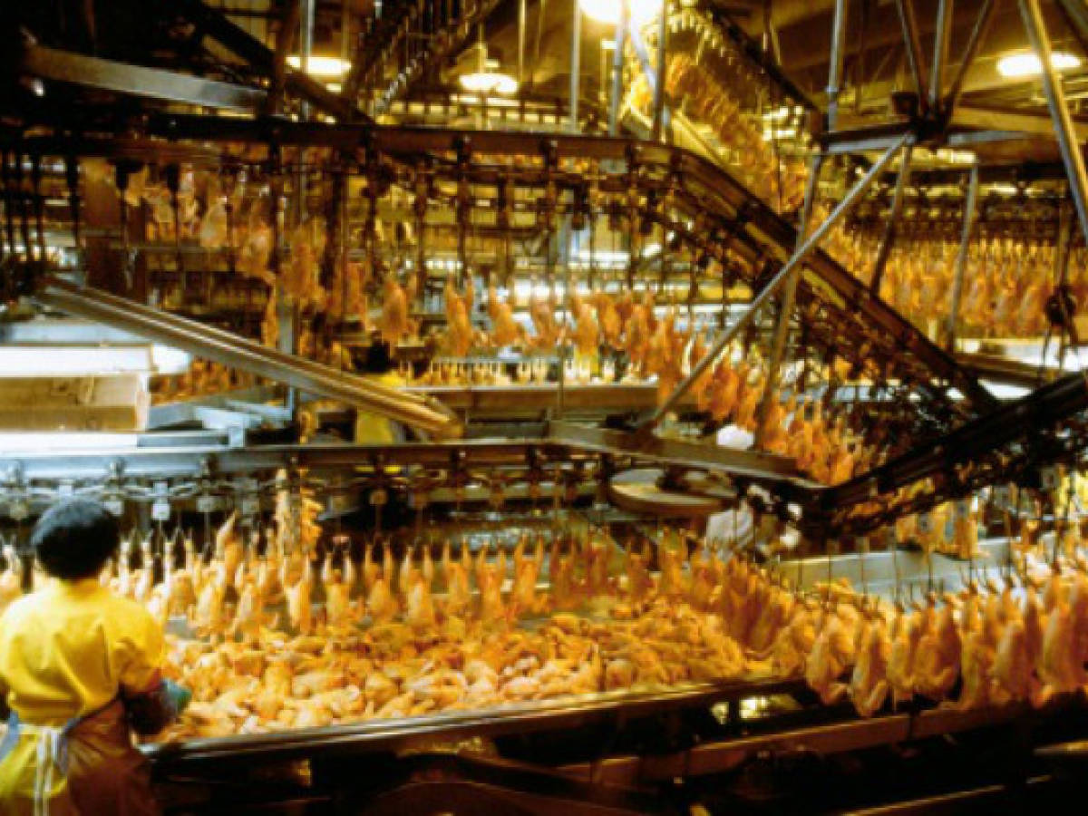 Hondureños estarán pendientes de alimentos y minería