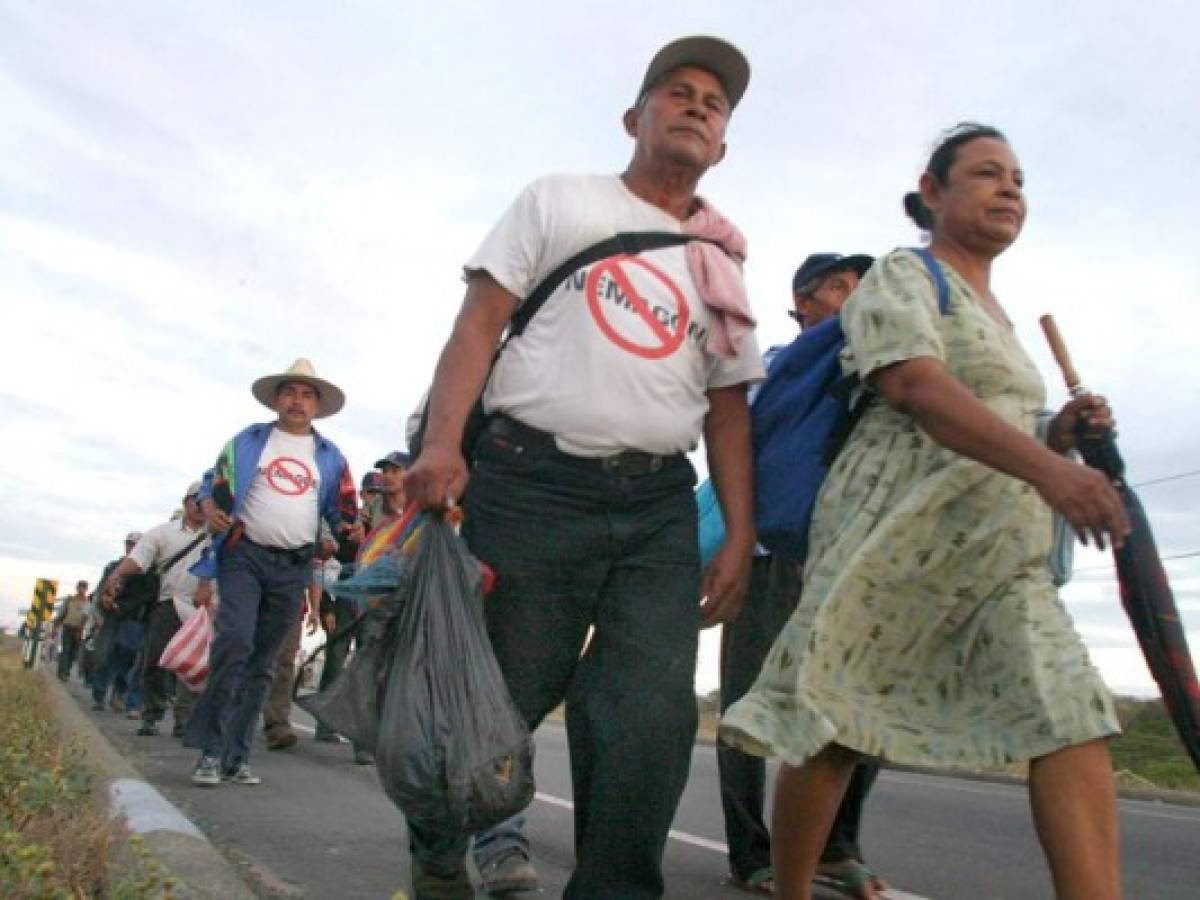 Nicaragüenses afectados por pesticida buscan obtener indemnización