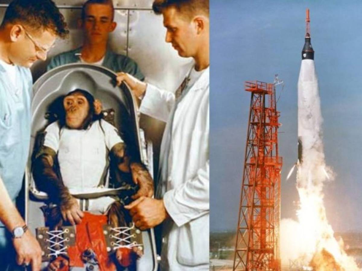 Se cumplen 58 años del viaje de Enos, primer chimponauta orbital