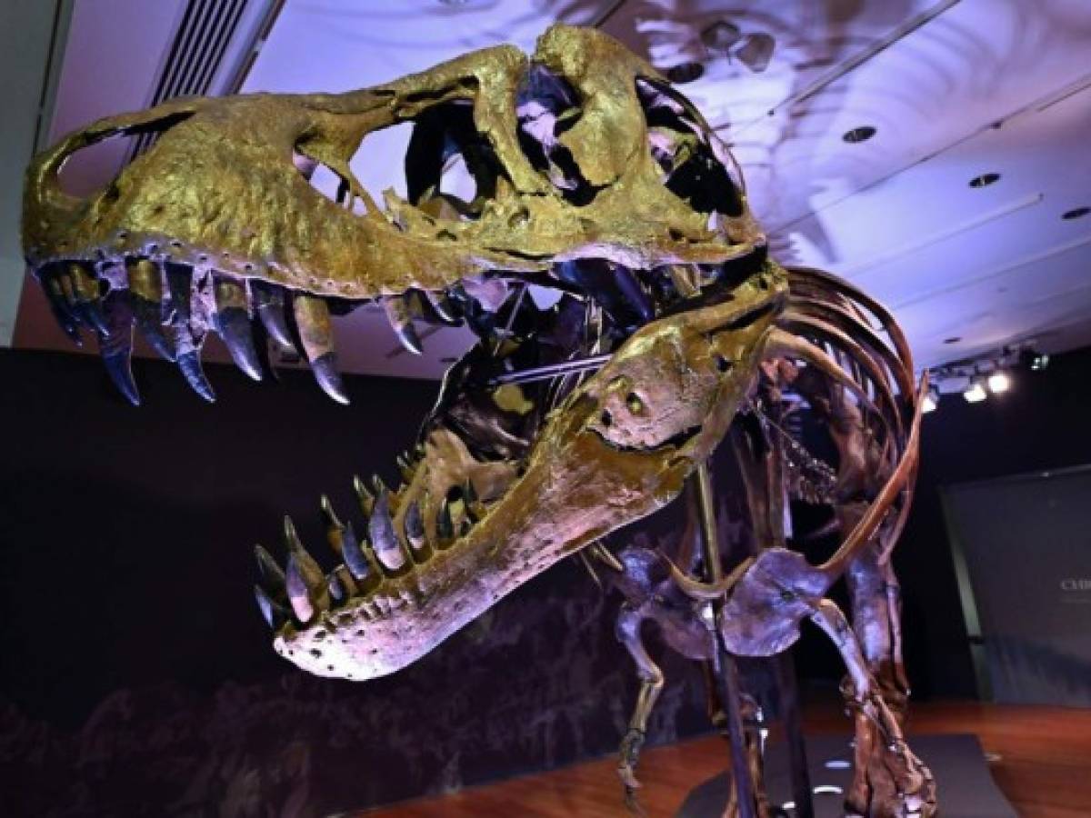 Subasta de T-Rex por USD 31,8 millones bate récord para un dinosaurio