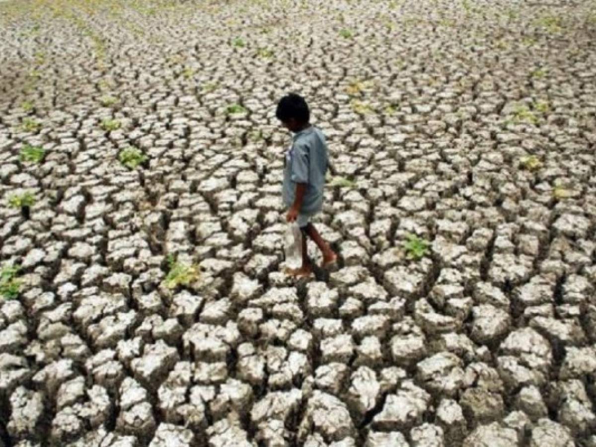El Niño 2015 será uno de los más fuertes de la historia