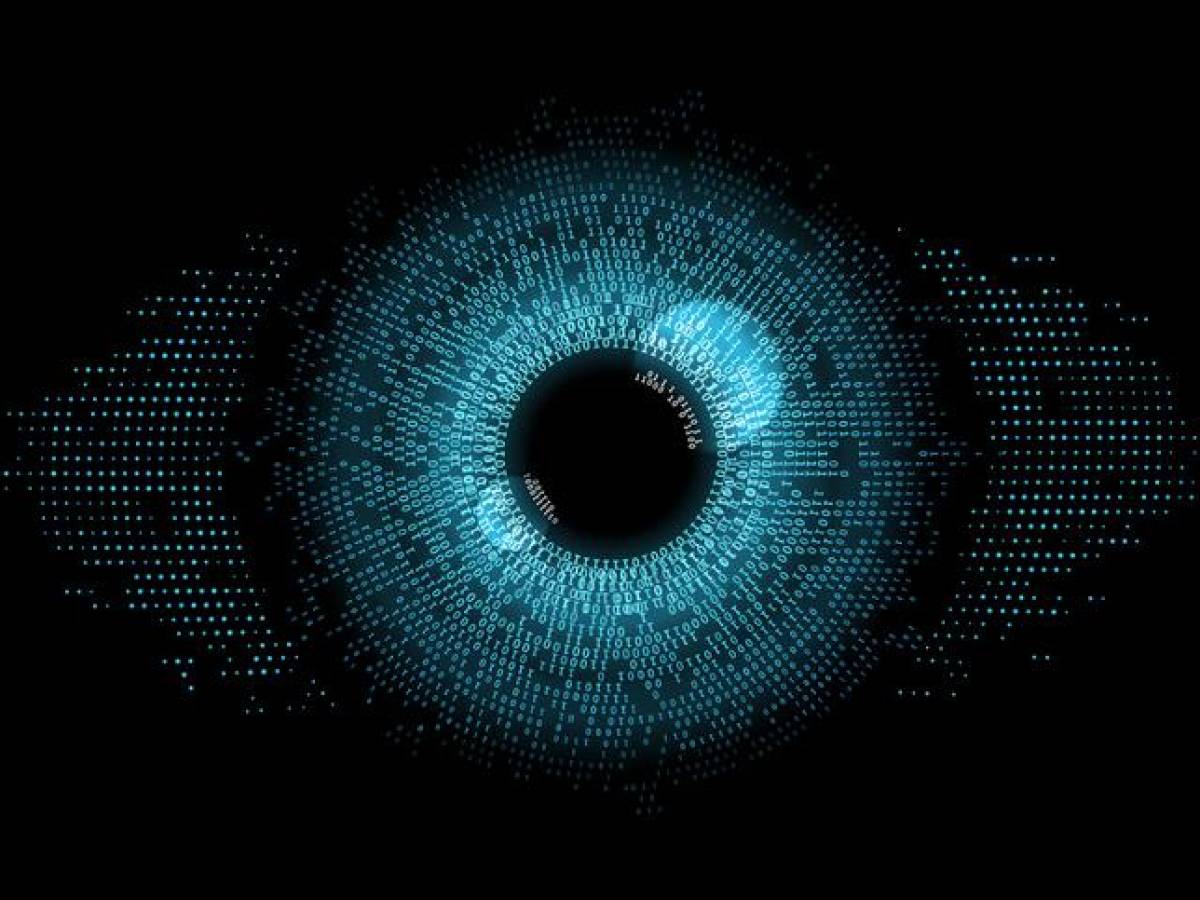 Matriz Inteligente, el primer programa que piensa por si mismo