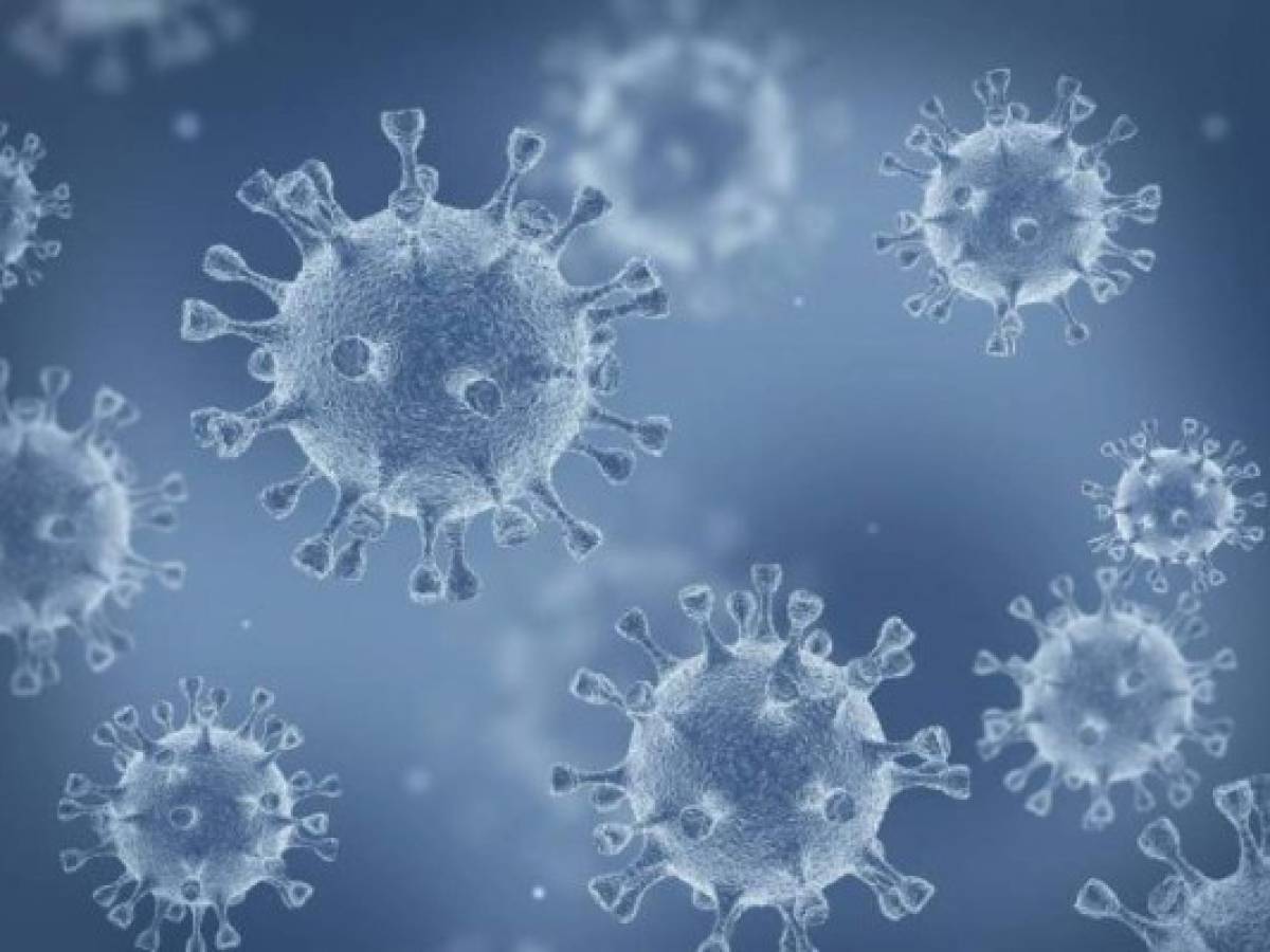 Virus de Marburgo: ¿Qué es, síntomas y por qué es una amenaza?