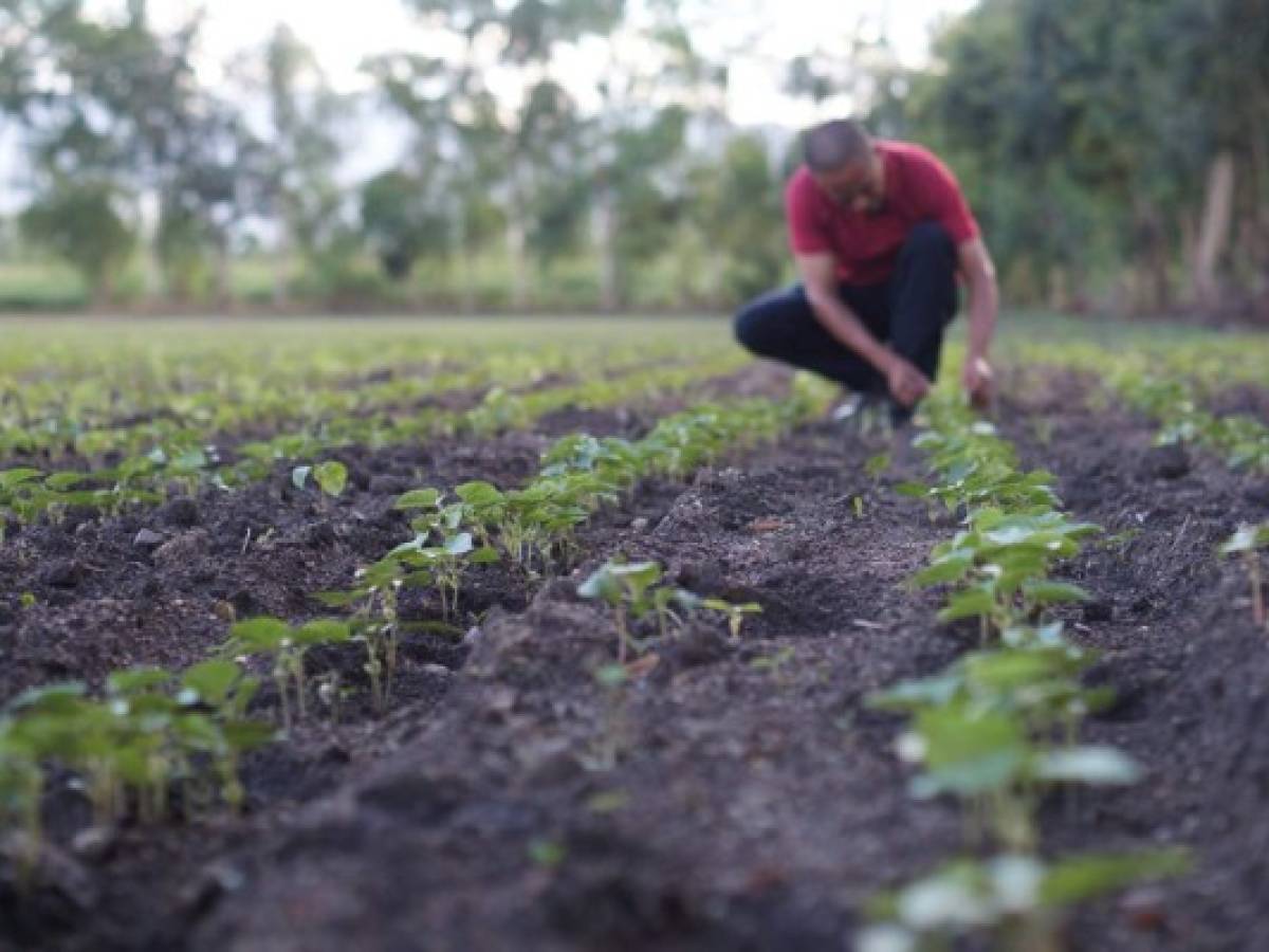 Nicaragua: El renacer de Jalapa, el municipio más minado