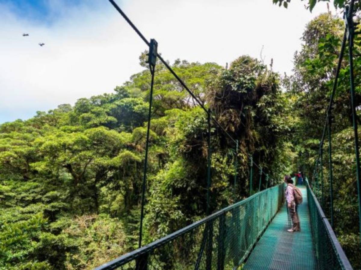 Girl walking on hanging bridge in cloudforest - Monteverde, Costa Rica - adventure in central america