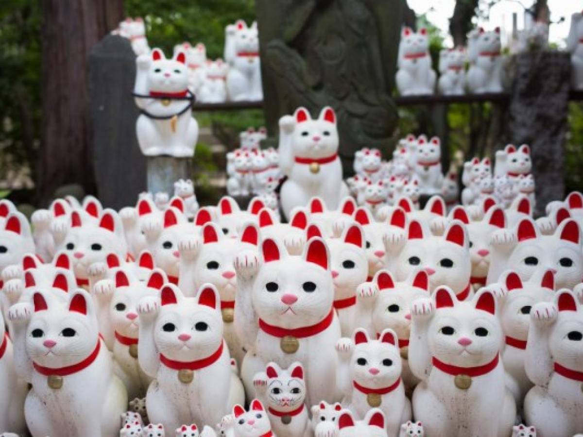 En Tokio está el mejor templo de gatos para los 'Instagramers'