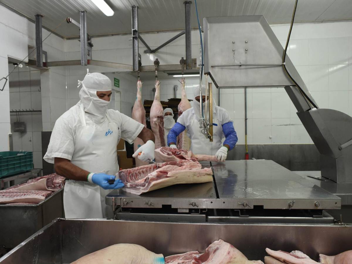 Costa Rica exportó 33 mil toneladas de carne bovina en 2021