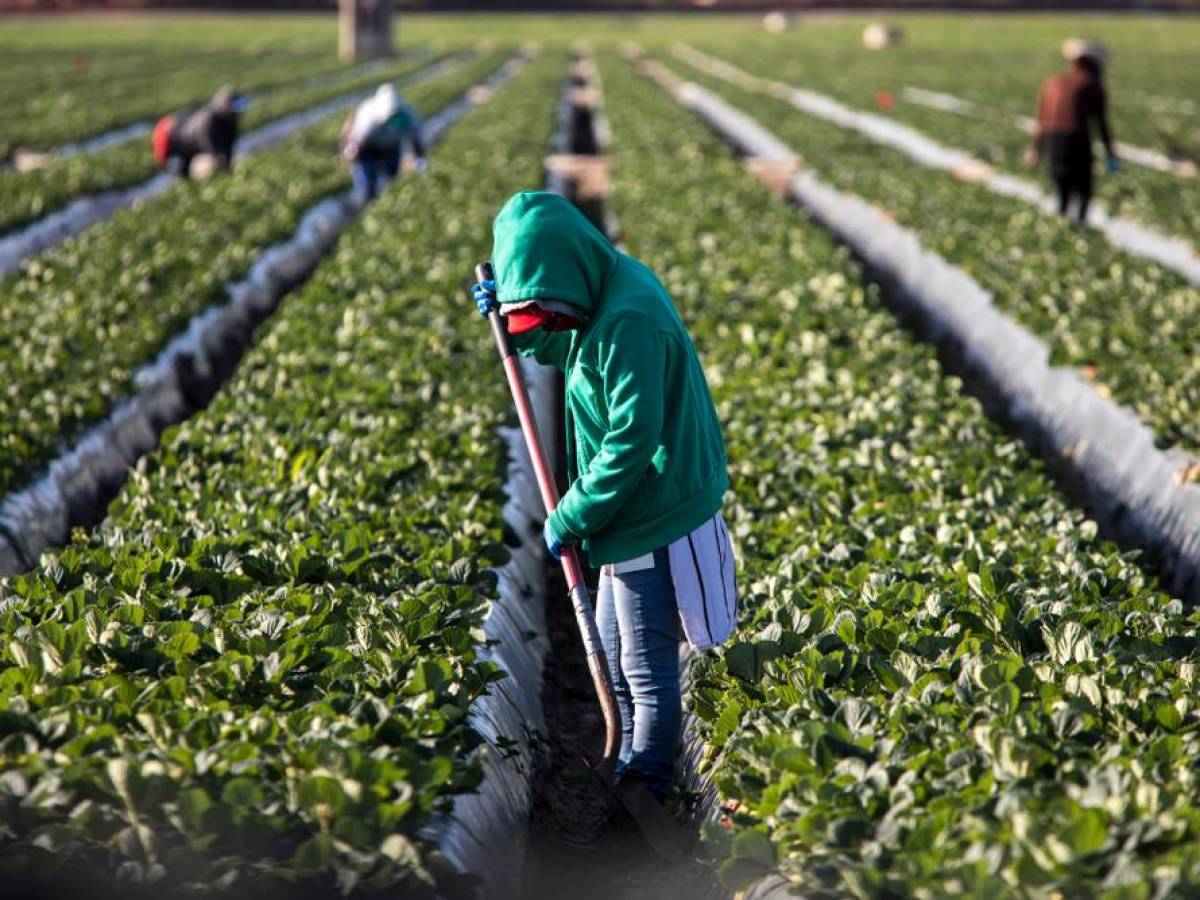 México y EEUU acuerdan iniciativa para crear empleo para Centroamérica