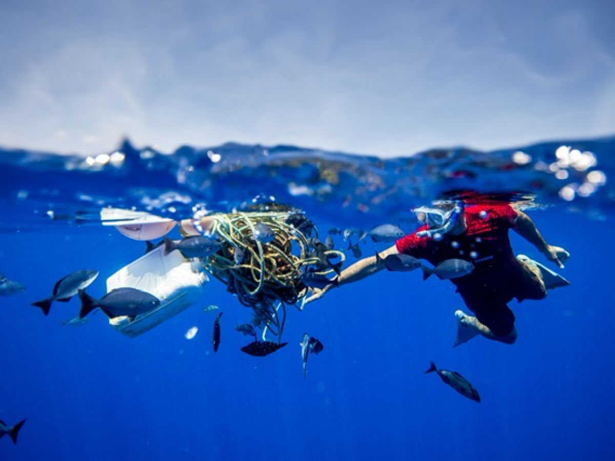 Día de la Tierra: Mala disposición del plástico de un solo uso ahoga al planeta