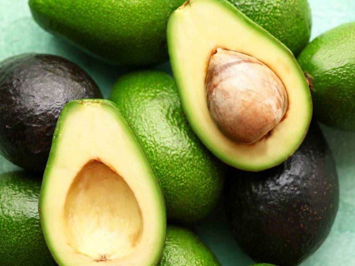 ¿Por qué Costa Rica perdió caso de aguacate Hass en OMC?