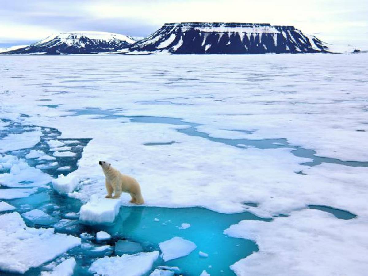 El Ártico empezará a quedarse sin hielo en verano a partir de 2030
