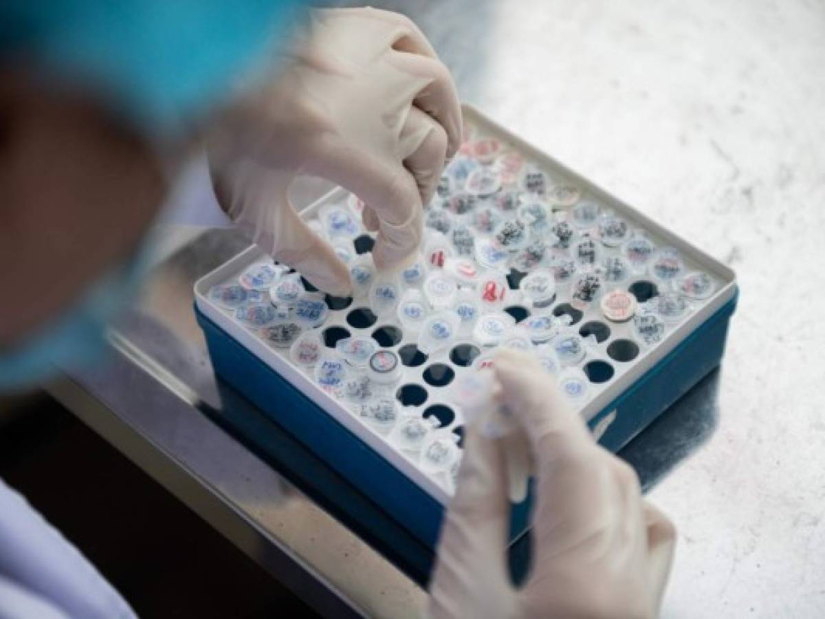 Pfizer y BioNTech incluirán a Argentina en sus estudios de una vacuna contra covid-19