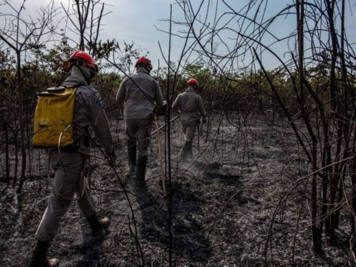Brasil prohíbe durante 60 días las quemas para combatir incendios en la Amazonia