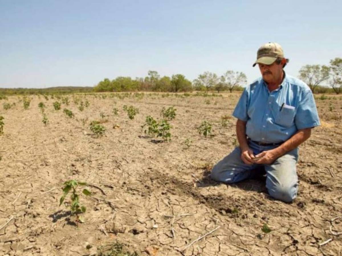 Dos millones de personas afectadas por sequía en Centroamérica