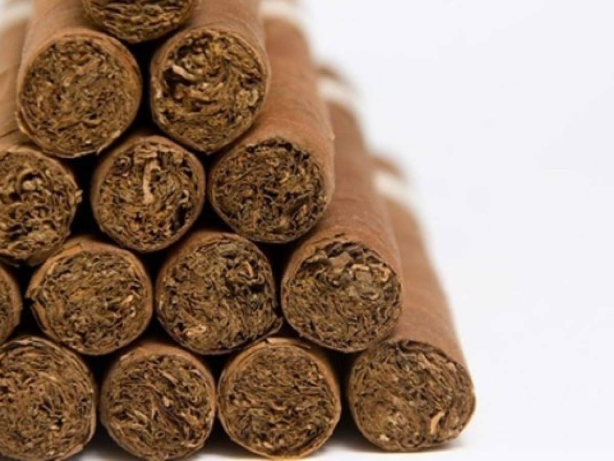 Nicaragua: inversionistas buscan sembrar más tabaco