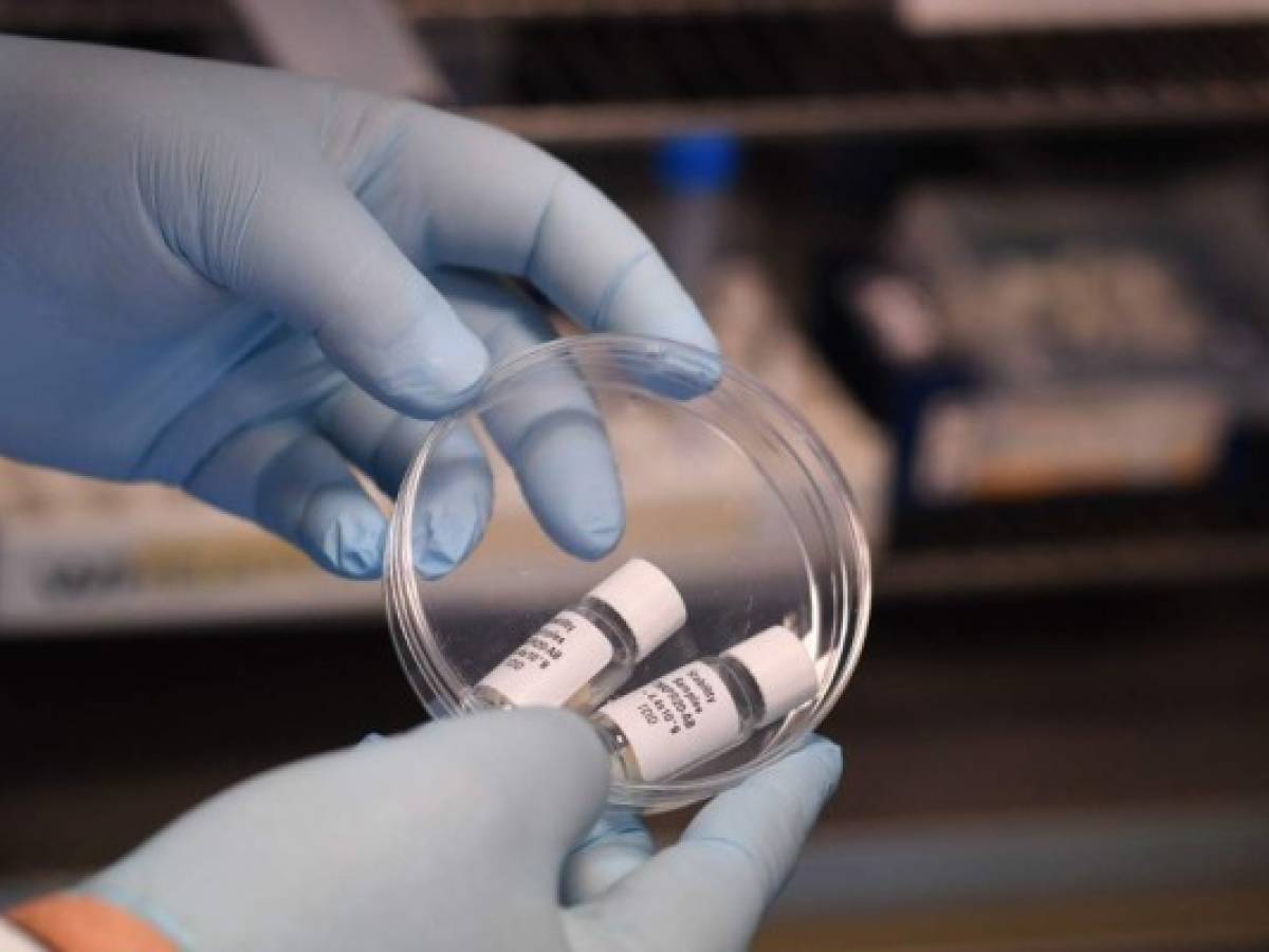 Dos proyectos de vacunas contra covid-19 ‘producen respuesta inmunitaria’