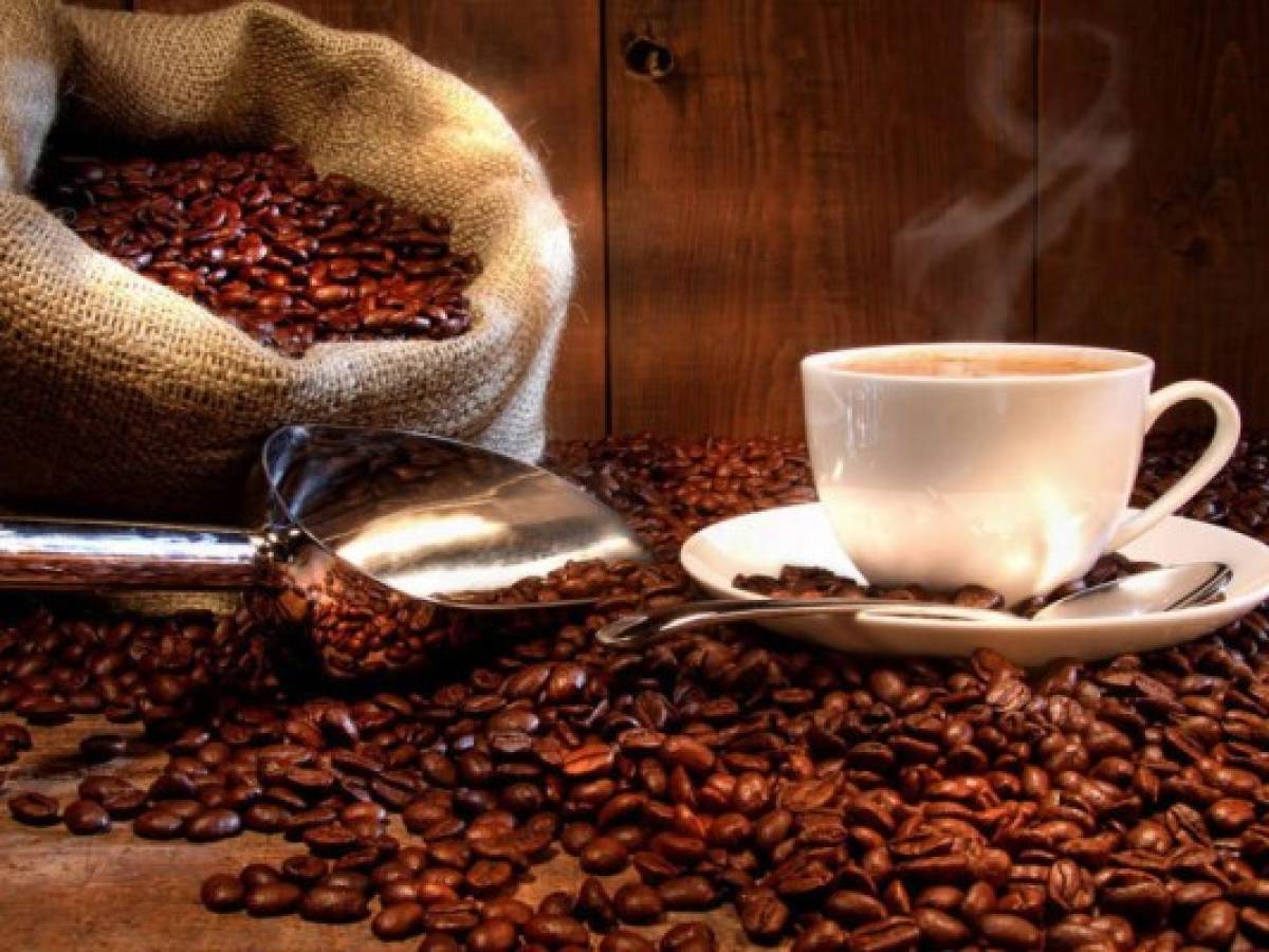 Subasta electrónica promoverá café guatemalteco con un precio 4 veces mejor que en la Bolsa de NY