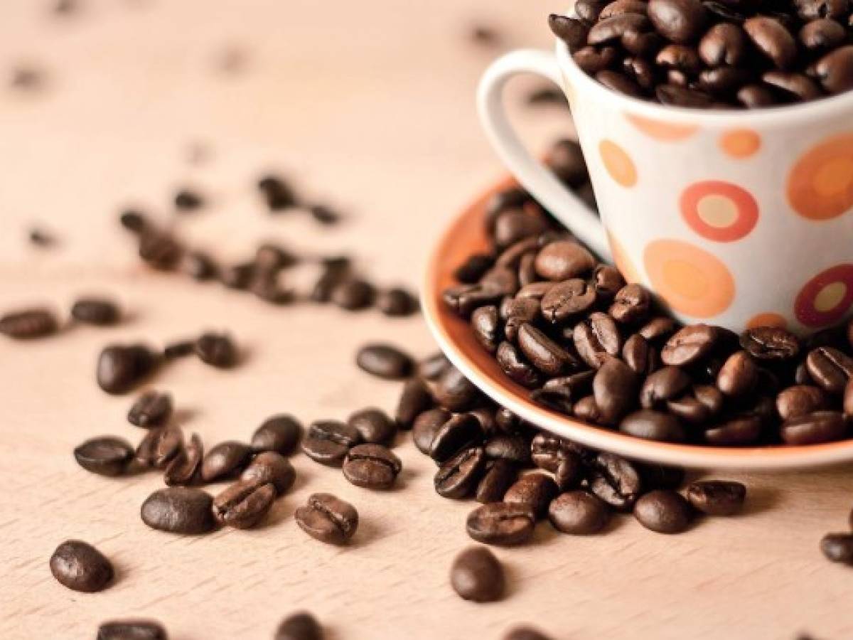 Puerto Rico: productores de café piden 54% de aumento en precio