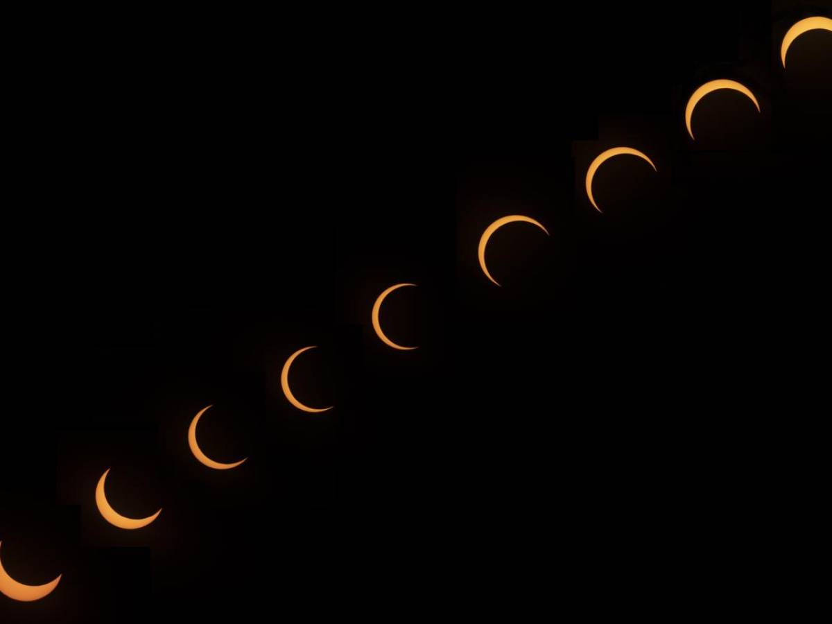 Su mascota puede participar en un experimento de la NASA durante el eclipse solar