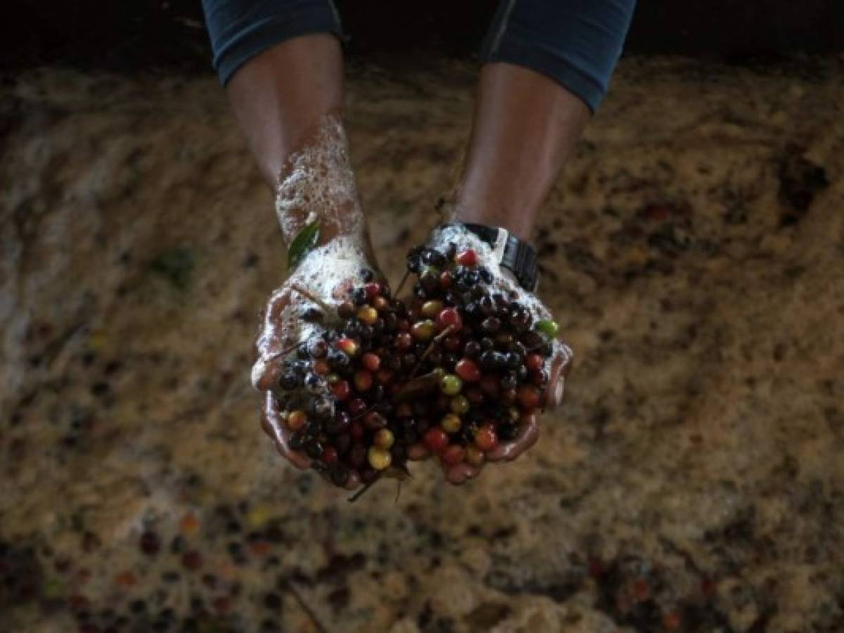 Sequías y contaminación generan hambre en la cuenca de río Lempa