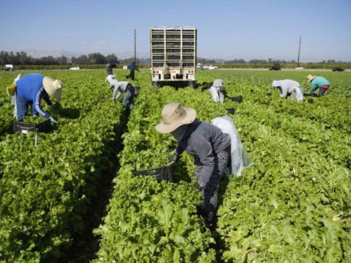 Guatemala: remesas familiares crecen un 43,1% de enero a mayo de este 2021