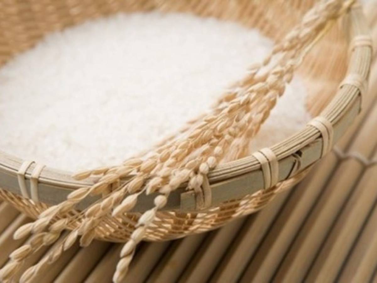 Panamá importará arroz hasta diciembre debido a escasez
