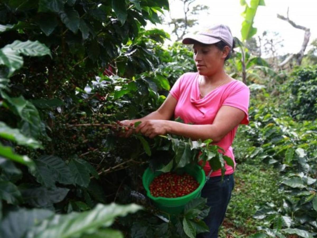Estancadas exportaciones hondureñas de bienes
