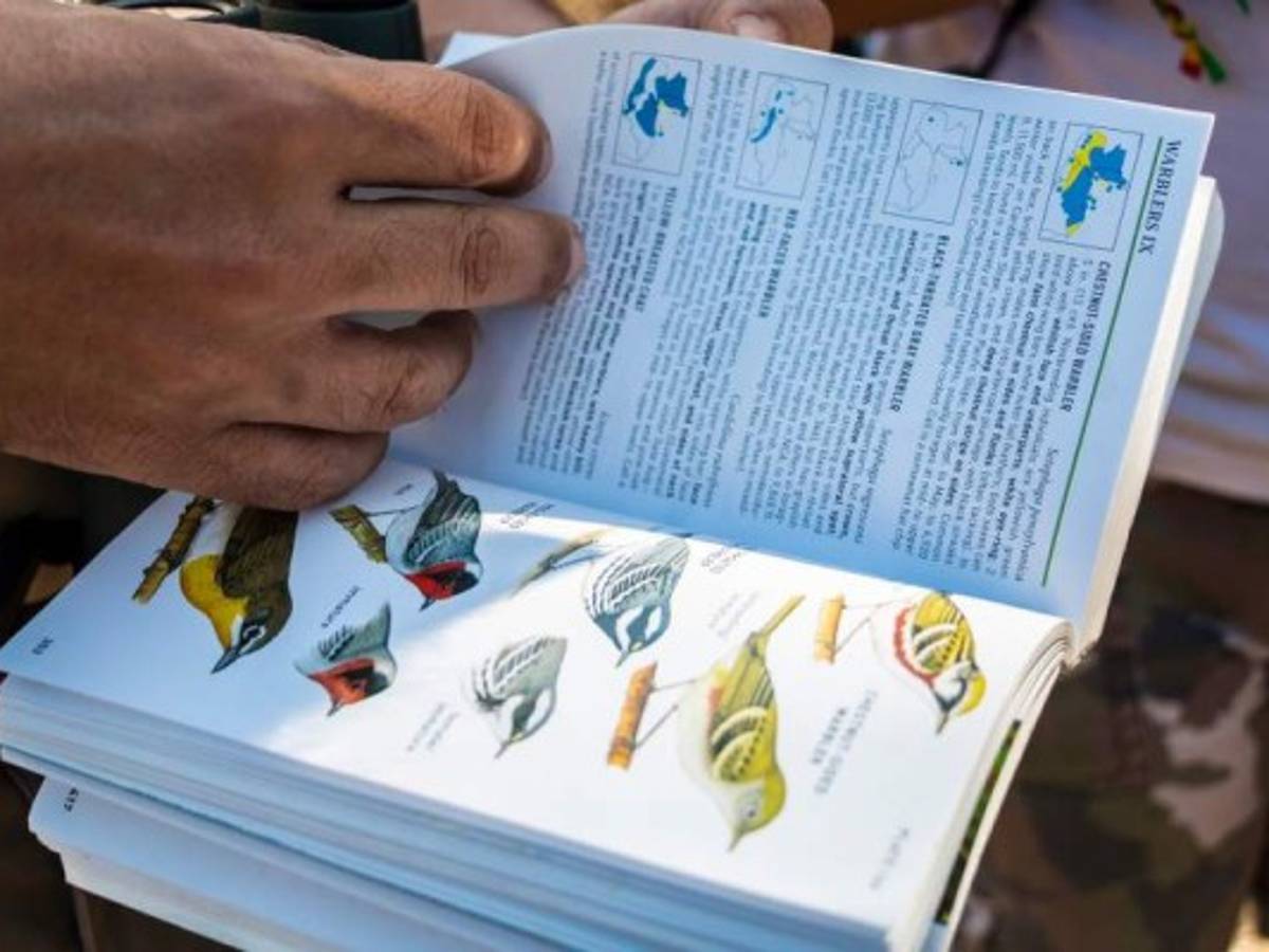 Foto: Estrategia y Negocios