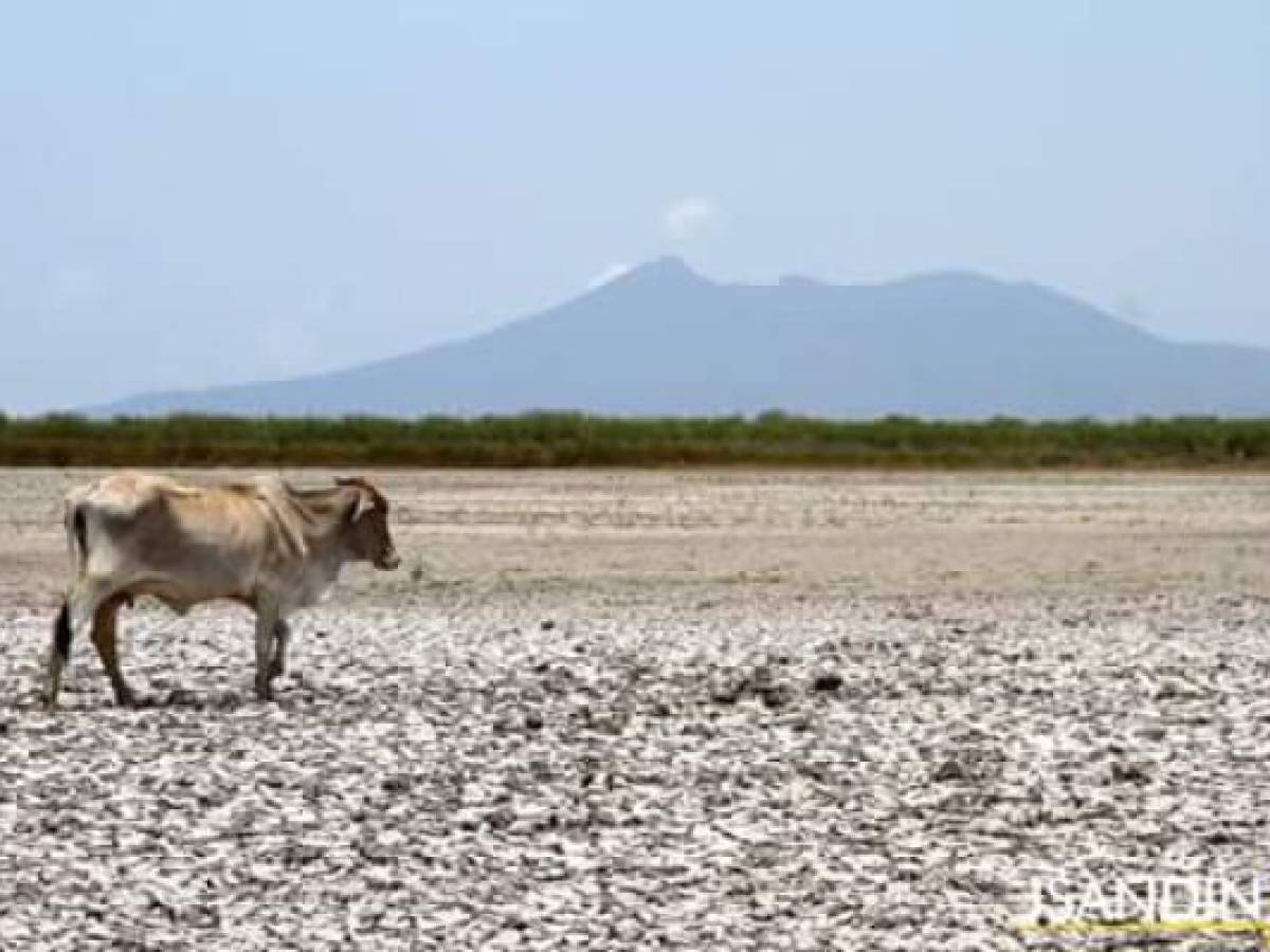 En el Día de la Tierra, líderes firmarán un tratado ineficiente