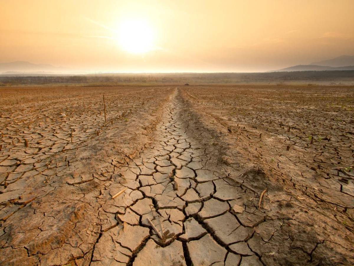 Alertan: comenzó el fenómeno meteorológico El Niño, que propicia eventos climáticos extremos