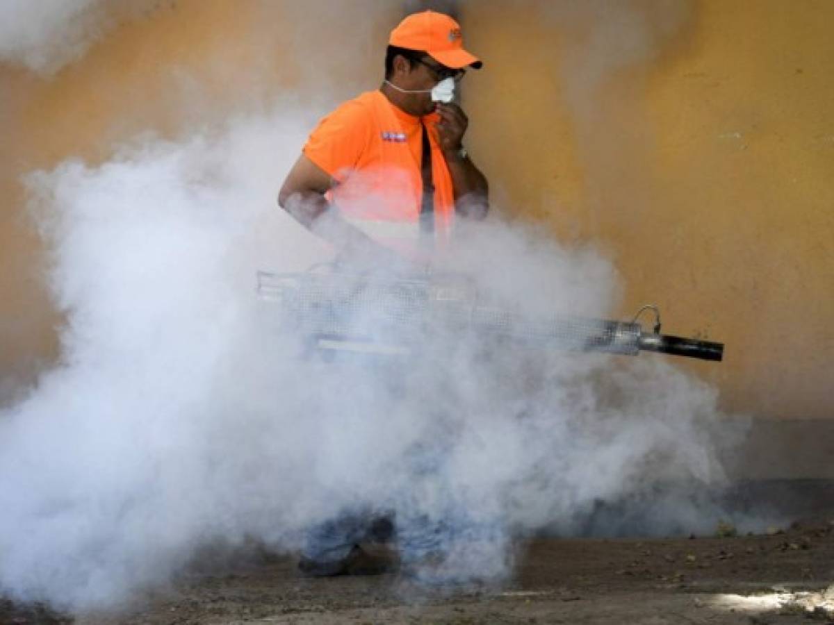 OPS llama a atender el dengue tras disrupciones por pandemia  