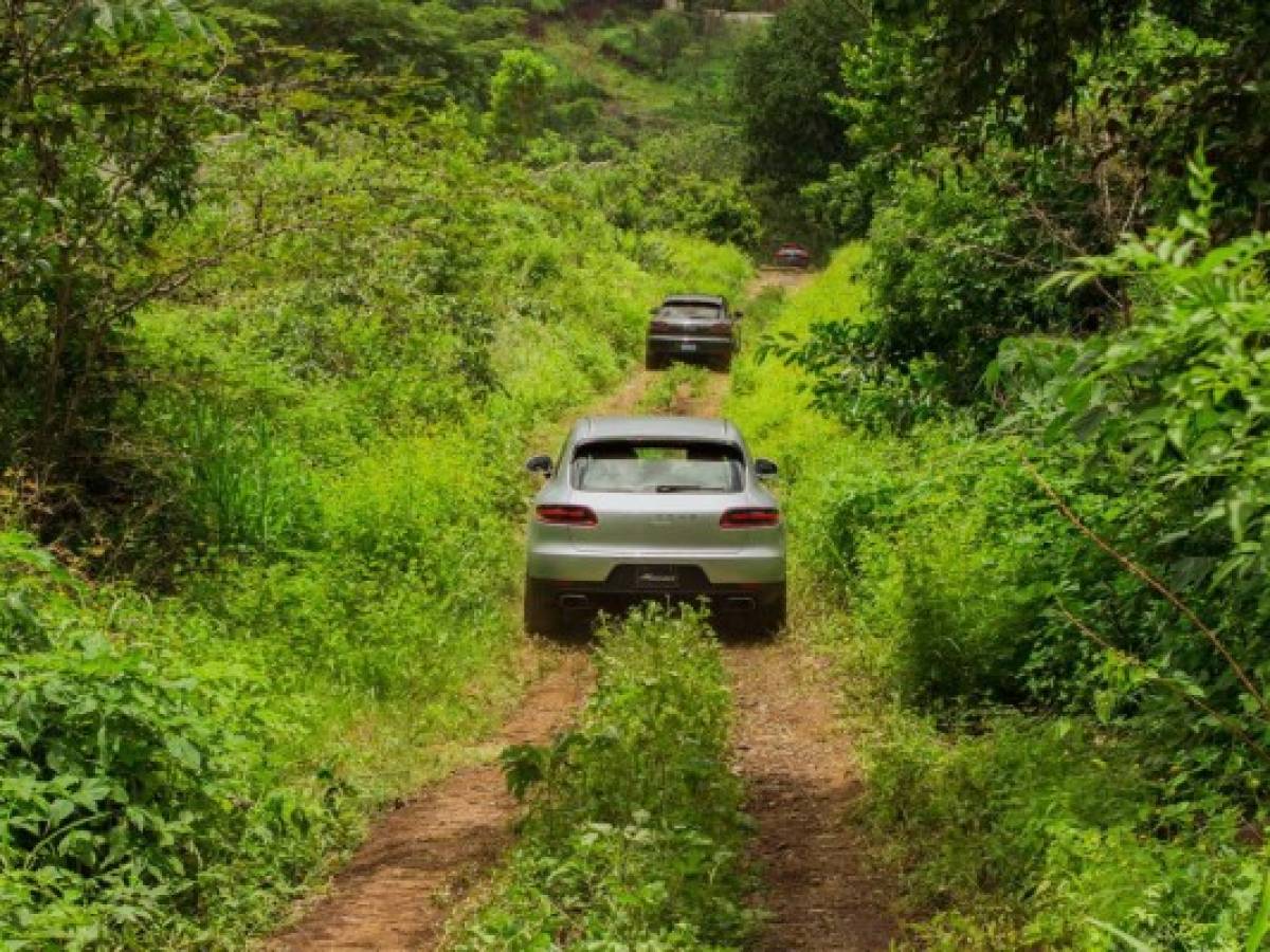 Porsche, sin miedo a caminos extremos