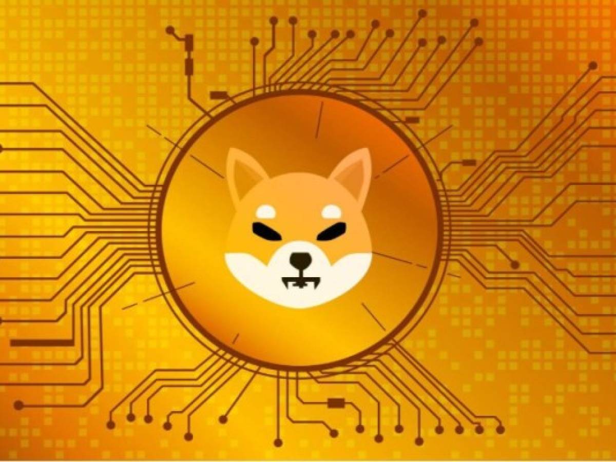 ¿Qué es el Shiba Inu, el token meme que está de moda?