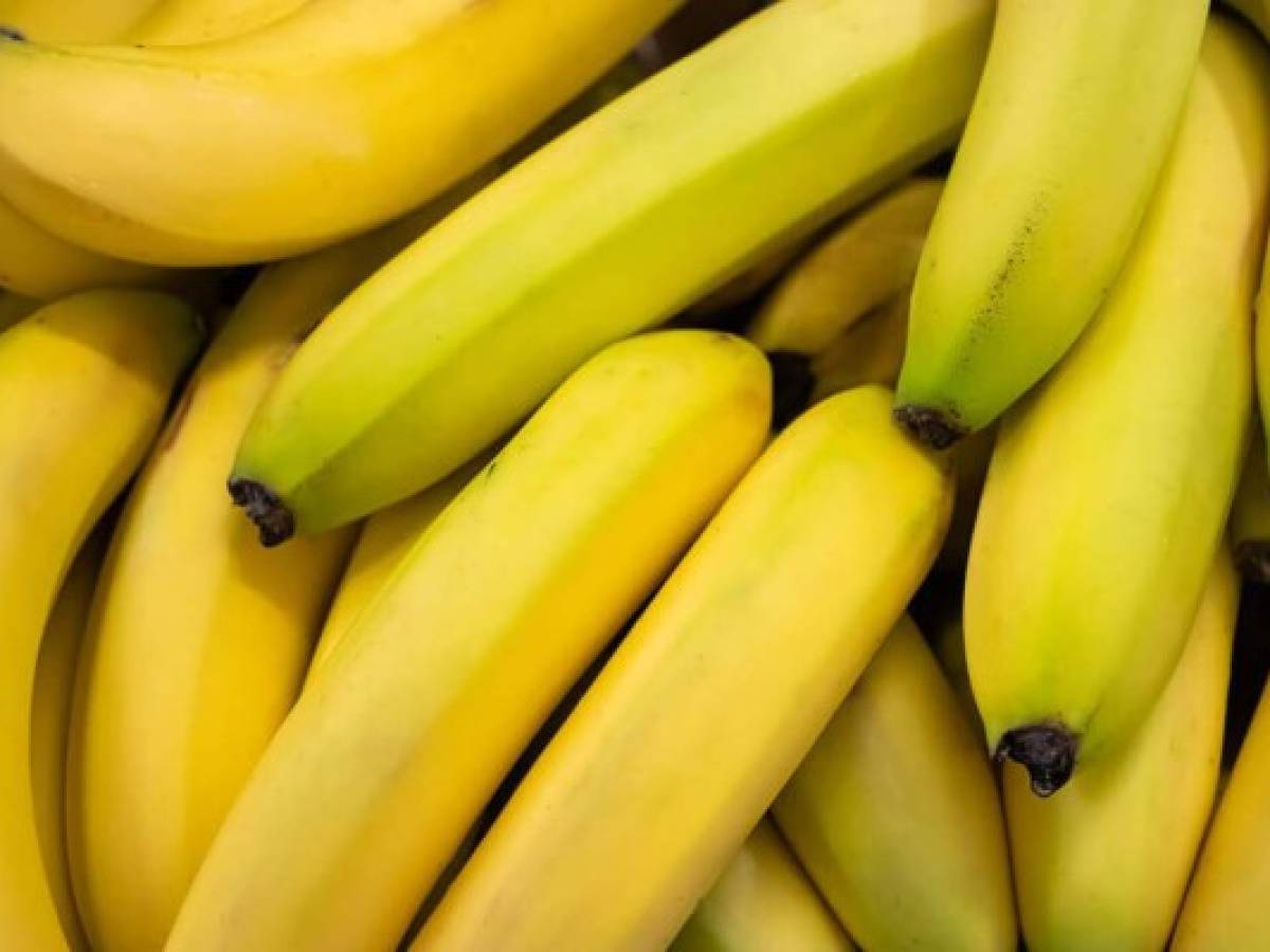 Costa Rica: Productores bananeros piden precio justo en los mercados internacionales