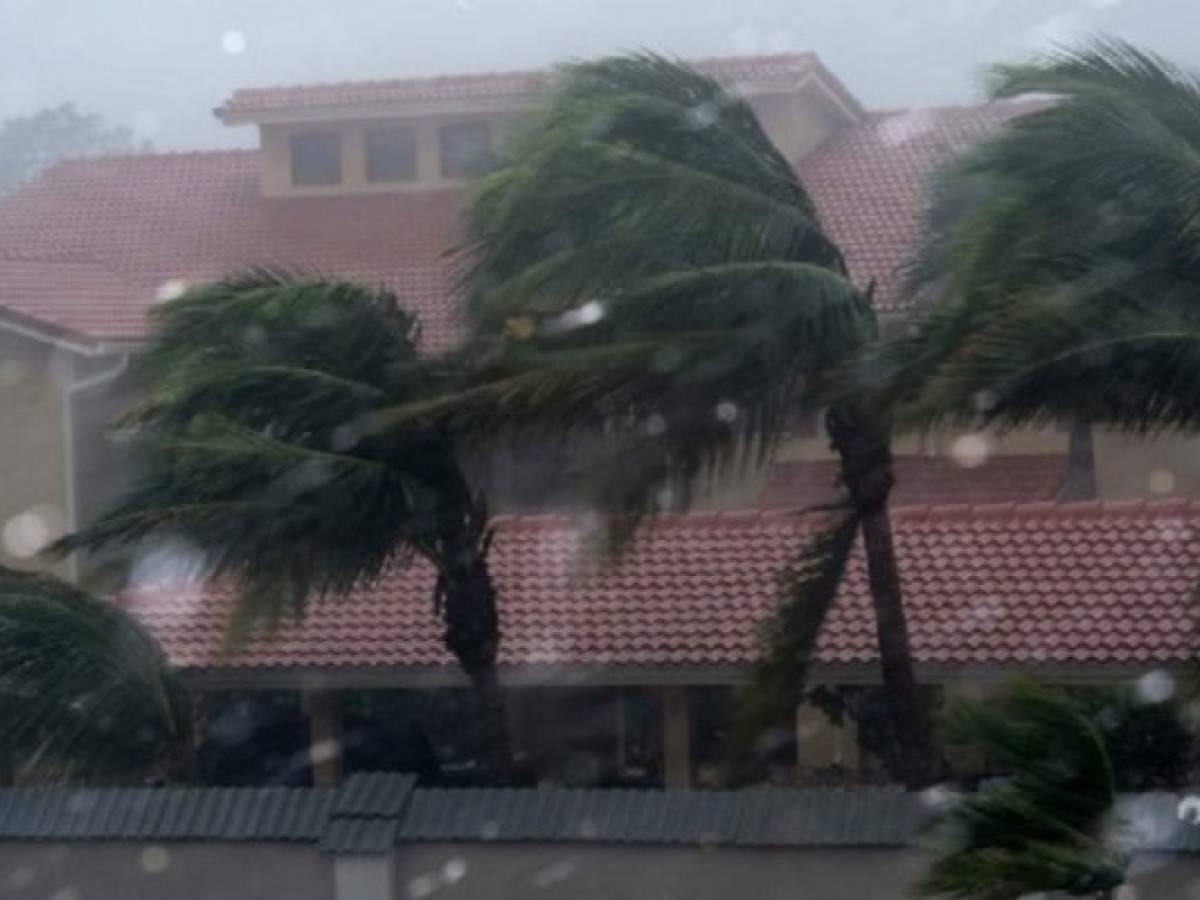 Irma: bahía de Tampa, vulnerable y mal preparada para enfrentar huracán