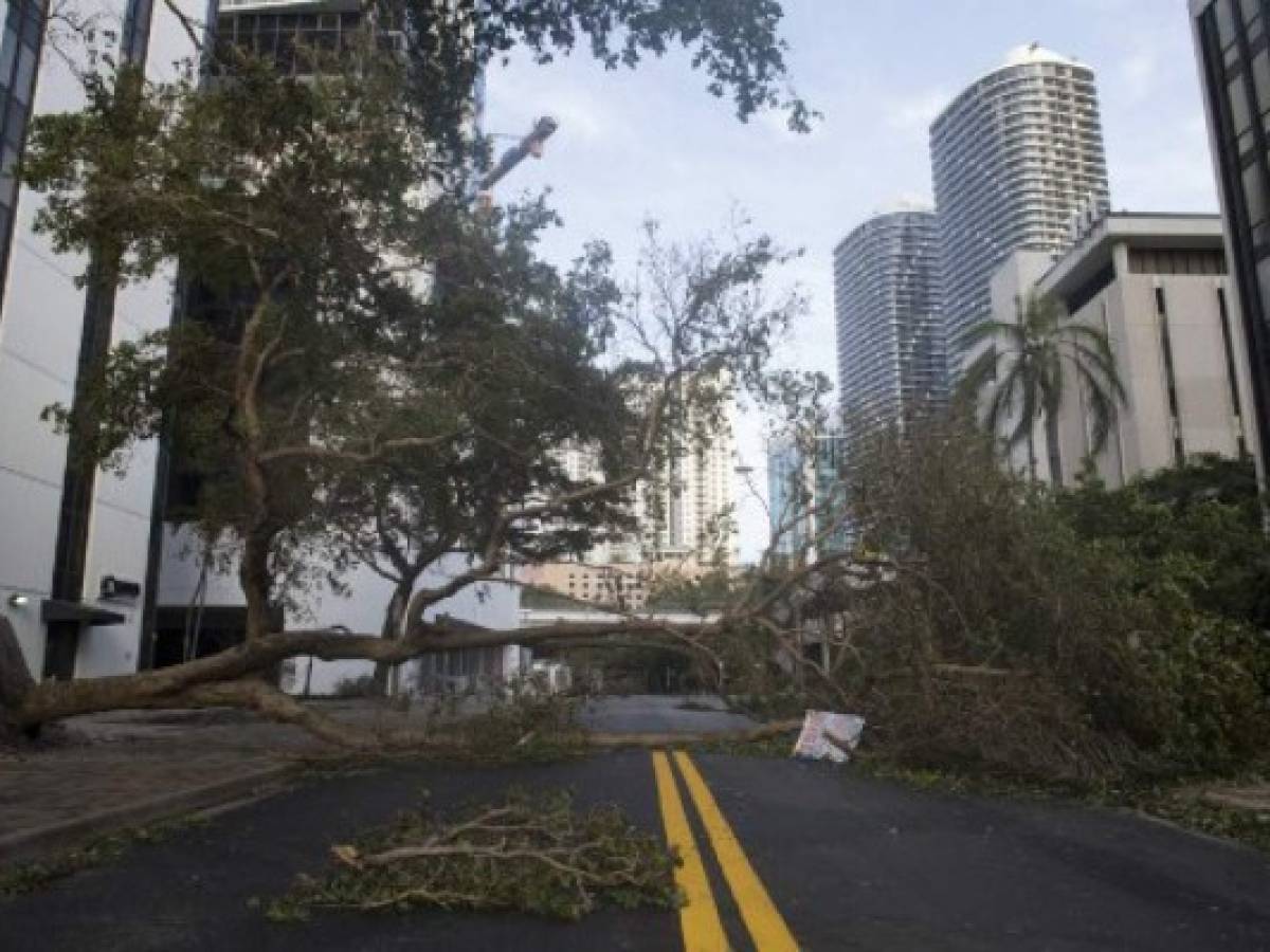 'Irma' se degrada a tormenta tropical mientras cruza Florida