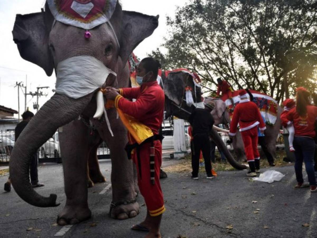 Elefantes vestidos de Papá Noel reparten mascarillas en una escuela de Tailandia
