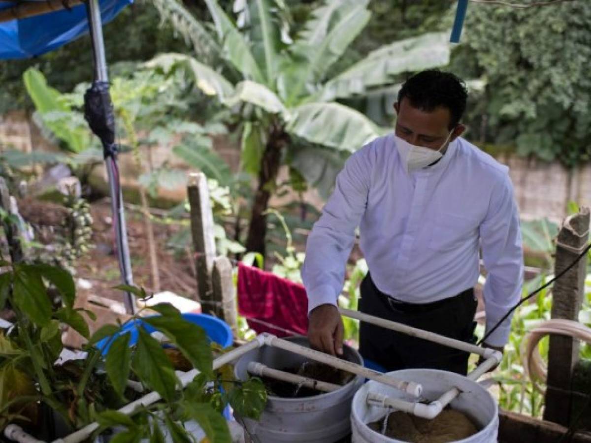 Sacerdote cultiva tilapias para sortear crisis por pandemia en El Salvador