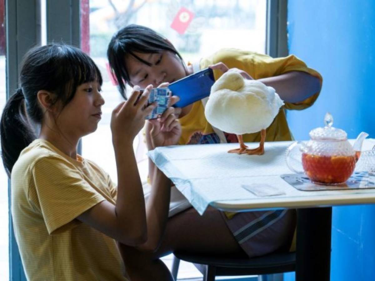 Bebidas y 'cuacs', la oferta de una cafetería de China