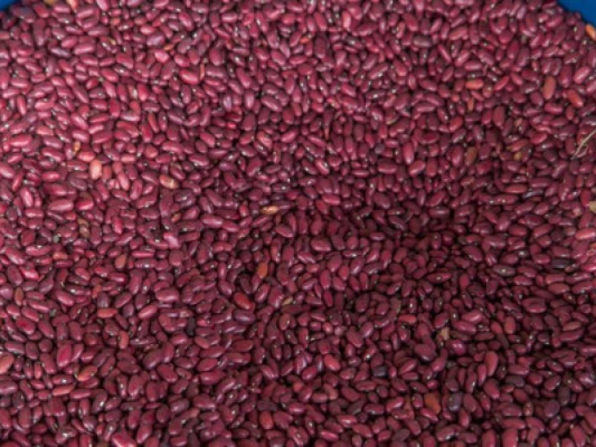 Brasil autoriza importación de frijoles tras campaña en Twitter