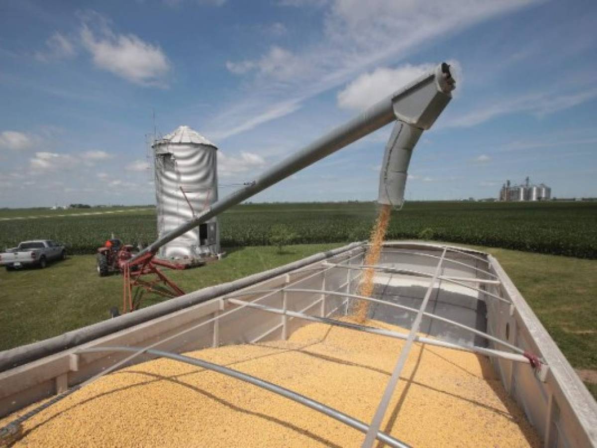 EEUU anuncia ayudas por US$12.000 M para agricultores afectados por aranceles